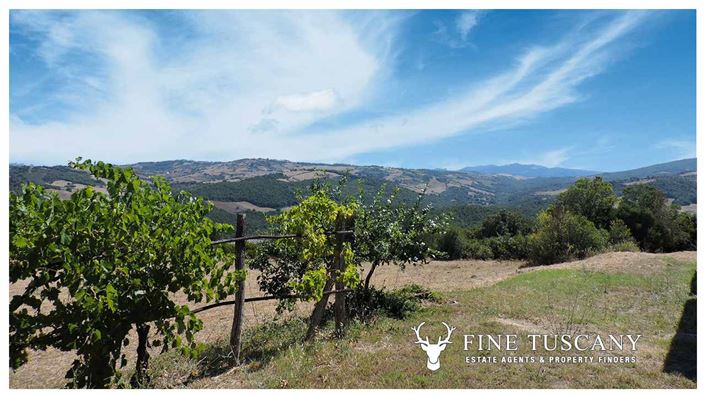 Image No.2-Maison de campagne à vendre à Pomarance