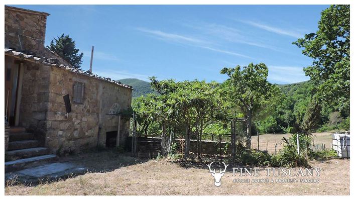 Image No.6-Maison de campagne à vendre à Pomarance