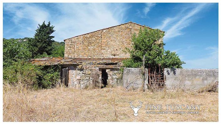Image No.5-Maison de campagne à vendre à Pomarance