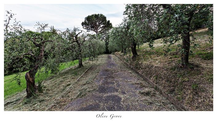 Image No.16-Villa de 7 chambres à vendre à Toscane