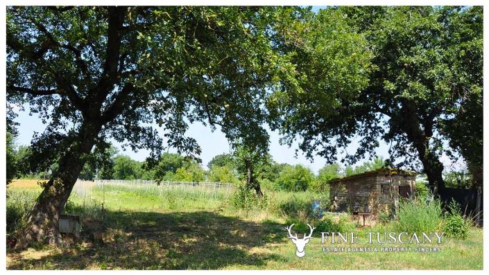 Image No.2-4 Bed Country House for sale