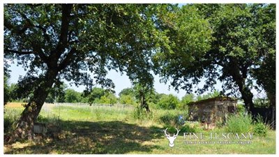 House-for-sale-in-Chiusdino-Siena-Tuscany-2