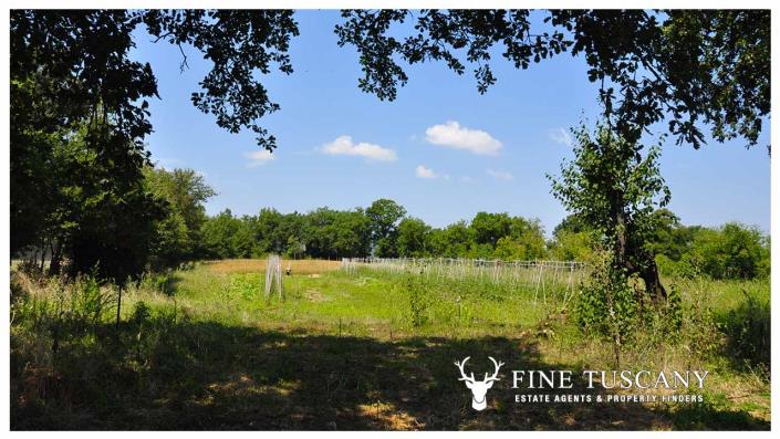 Image No.3-4 Bed Country House for sale