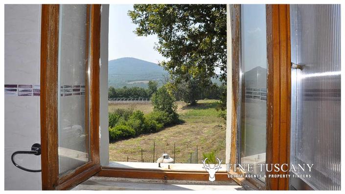 Image No.19-4 Bed Country House for sale