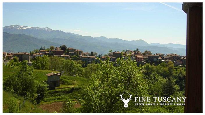 Image No.27-Maison de campagne de 10 chambres à vendre à Molazzana