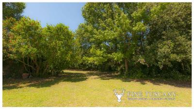 Architectural-Villa-for-sale-in-Pisa-Tuscany-Italy---Gae-Aulenti---58