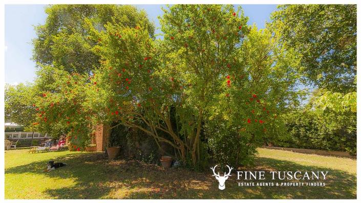 Image No.39-Maison / Villa de 5 chambres à vendre à Pisa
