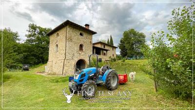 Farmhouse-with-land-for-sale-in-Arezzo-Tuscany-Italy-7