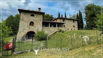 Farmhouse-with-land-for-sale-in-Arezzo-Tuscany-Italy-8