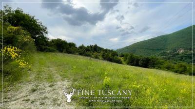 Farmhouse-with-land-for-sale-in-Arezzo-Tuscany-Italy-39