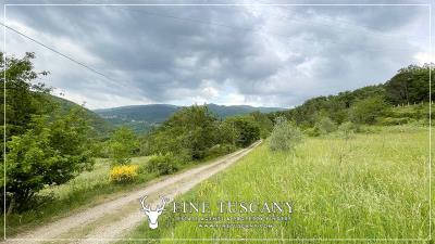 Farmhouse-with-land-for-sale-in-Arezzo-Tuscany-Italy-41