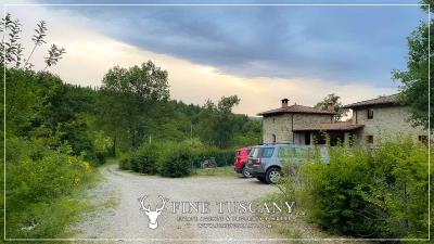 Farmhouse-with-land-for-sale-in-Arezzo-Tuscany-Italy-45