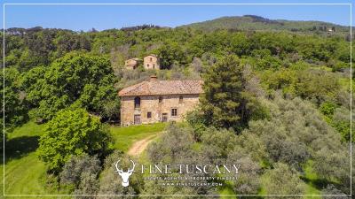 1 - Figline Valdarno, Country House