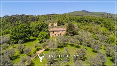Property-to-restore-with-land-for-sale-in-Florence-Tuscany-Italy-2