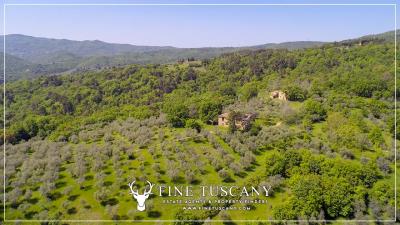 Property-to-restore-with-land-for-sale-in-Florence-Tuscany-Italy-4
