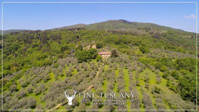 Property-to-restore-with-land-for-sale-in-Florence-Tuscany-Italy-3