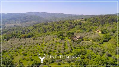 Property-to-restore-with-land-for-sale-in-Florence-Tuscany-Italy-5