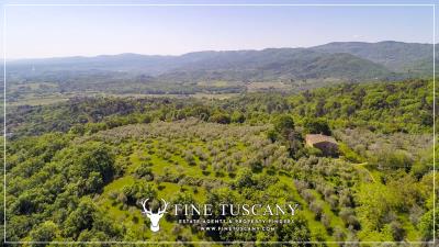 Property-to-restore-with-land-for-sale-in-Florence-Tuscany-Italy-6