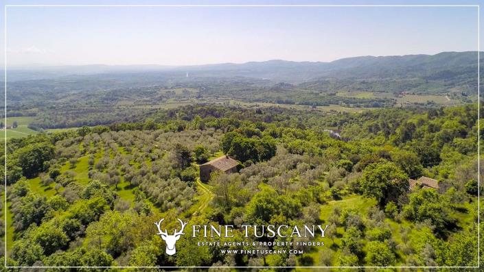 Image No.7-6 Bed Country House for sale