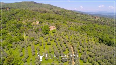 Property-to-restore-with-land-for-sale-in-Florence-Tuscany-Italy-9