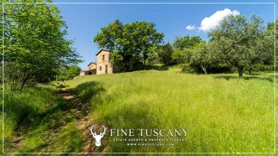 Property-to-restore-with-land-for-sale-in-Florence-Tuscany-Italy-15