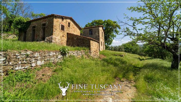 Image No.18-6 Bed Country House for sale