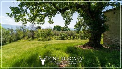 Property-to-restore-with-land-for-sale-in-Florence-Tuscany-Italy-22