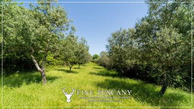 Property-to-restore-with-land-for-sale-in-Florence-Tuscany-Italy-23