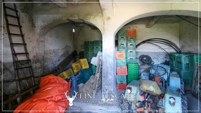 Property-to-restore-with-land-for-sale-in-Florence-Tuscany-Italy-29