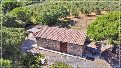 Hilltop-Farmhouse-Estate-for-sale-in-Suvereto-Livorno-Tuscany-Italy-1