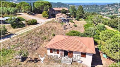 Hilltop-Farmhouse-Estate-for-sale-in-Suvereto-Livorno-Tuscany-Italy-4