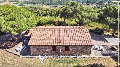 Hilltop-Farmhouse-Estate-for-sale-in-Suvereto-Livorno-Tuscany-Italy-3