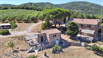 Hilltop-Farmhouse-Estate-for-sale-in-Suvereto-Livorno-Tuscany-Italy-5