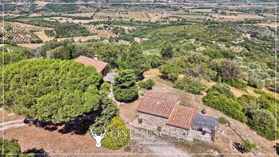 Hilltop-Farmhouse-Estate-for-sale-in-Suvereto-Livorno-Tuscany-Italy-6