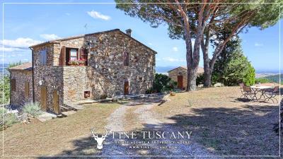 Hilltop-Farmhouse-Estate-for-sale-in-Suvereto-Livorno-Tuscany-Italy-8