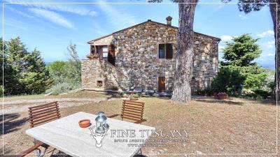 Hilltop-Farmhouse-Estate-for-sale-in-Suvereto-Livorno-Tuscany-Italy-9