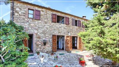 Hilltop-Farmhouse-Estate-for-sale-in-Suvereto-Livorno-Tuscany-Italy-12