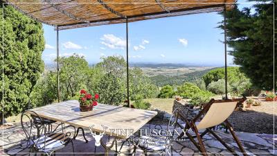 Hilltop-Farmhouse-Estate-for-sale-in-Suvereto-Livorno-Tuscany-Italy-14