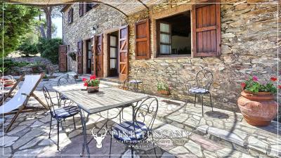 Hilltop-Farmhouse-Estate-for-sale-in-Suvereto-Livorno-Tuscany-Italy-17