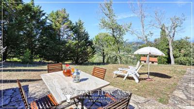 Hilltop-Farmhouse-Estate-for-sale-in-Suvereto-Livorno-Tuscany-Italy-18