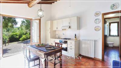 Hilltop-Farmhouse-Estate-for-sale-in-Suvereto-Livorno-Tuscany-Italy-41