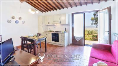Hilltop-Farmhouse-Estate-for-sale-in-Suvereto-Livorno-Tuscany-Italy-46