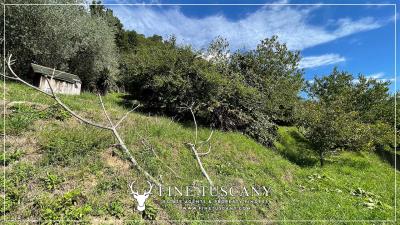 Villa-with-garden-for-sale-in-Bagni-di-Lucca-Lucca-Tuscany-Italy-72