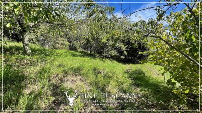 Villa-with-garden-for-sale-in-Bagni-di-Lucca-Lucca-Tuscany-Italy-73