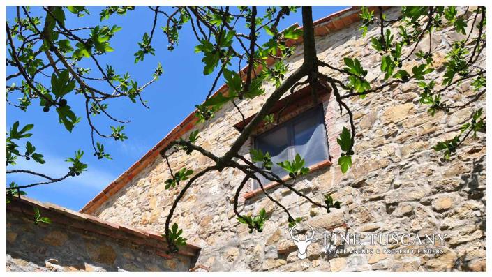 Image No.22-4 Bed Country Property for sale