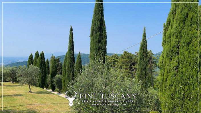 Image No.11-3 Bed Country House for sale
