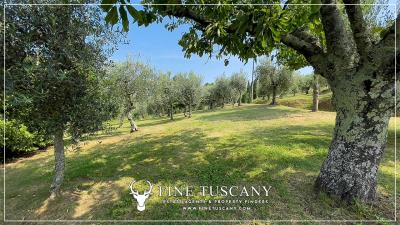 Country-House-with-land-and-pool-for-sale-near-Pistoia-Tuscany-Italy-24