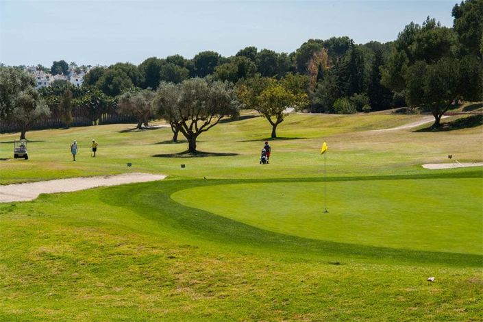 Image No.19-5 Bed Villa for sale