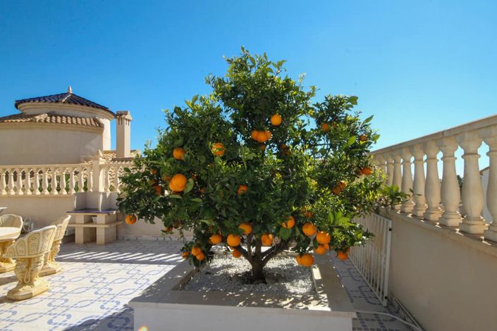 Image No.41-4 Bed Villa for sale