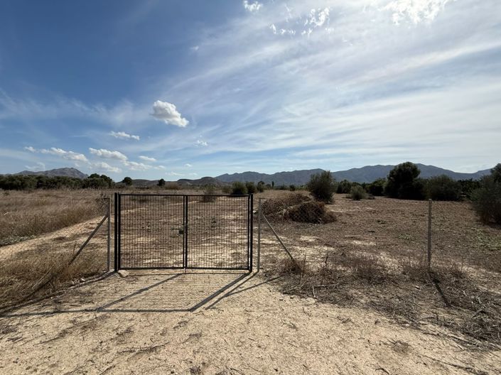 Image No.20-1 Bed Finca for sale